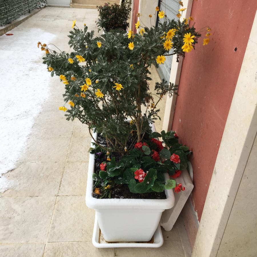 Amaranto Bed & Breakfast